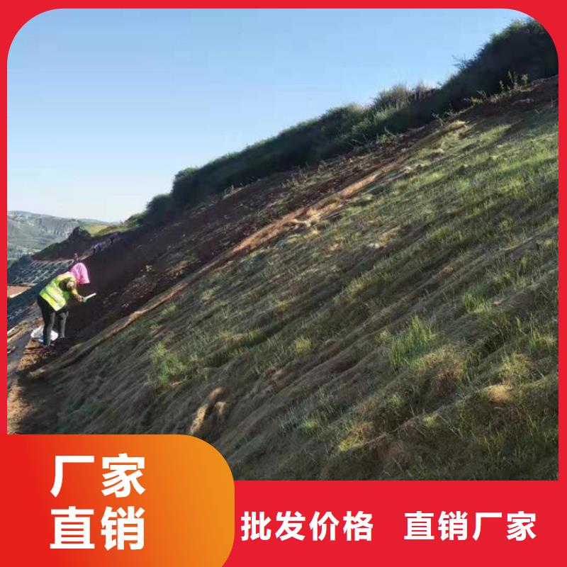 麻椰植被毯植被纖維毯