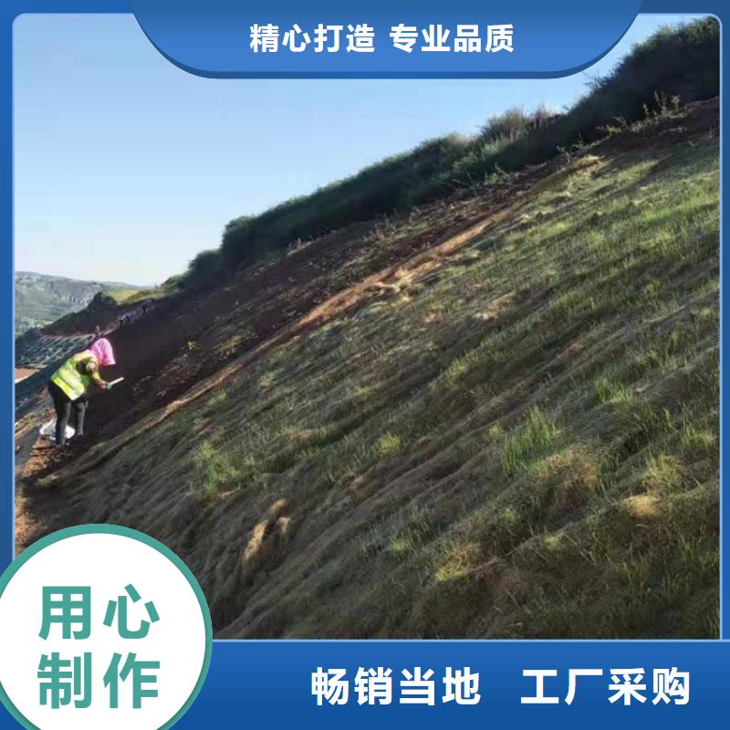 椰絲毯土工布用心做品質(zhì)
