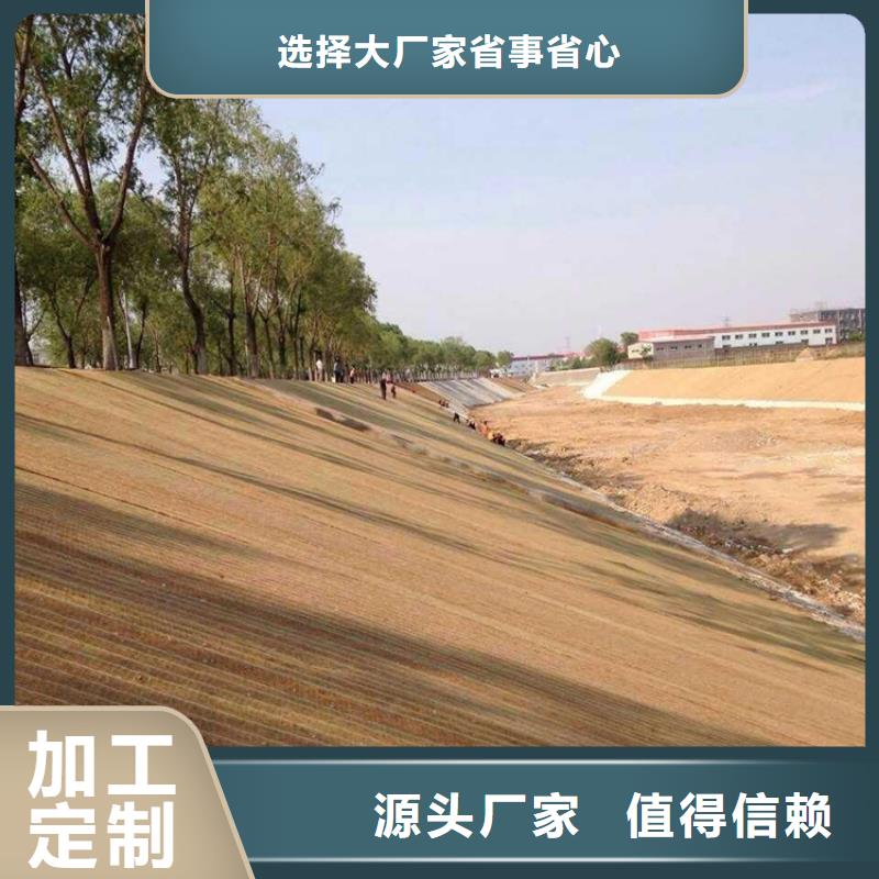 椰絲毯土工格柵現貨直發