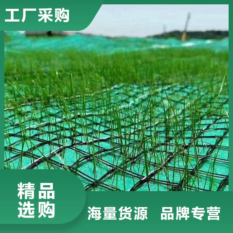椰絲毯土工格柵現貨直發