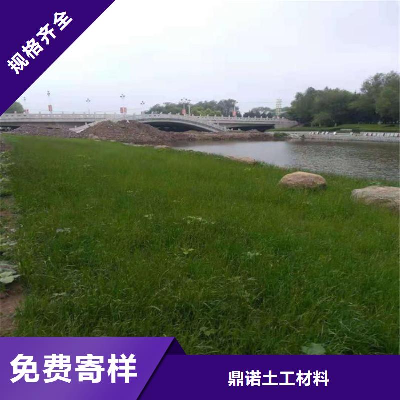椰絲毯土工格柵現貨直發
