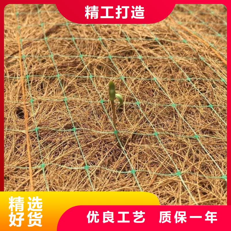 椰絲毯土工膜多年行業經驗