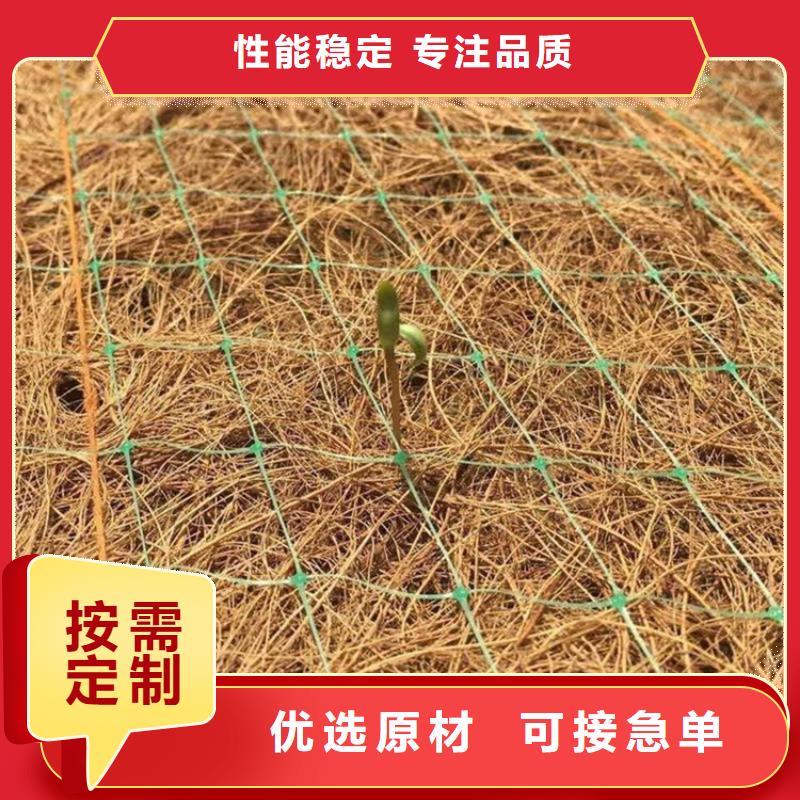 椰絲毯土工格柵現貨直發