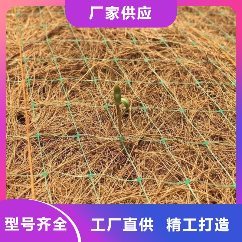 生態環保草毯
