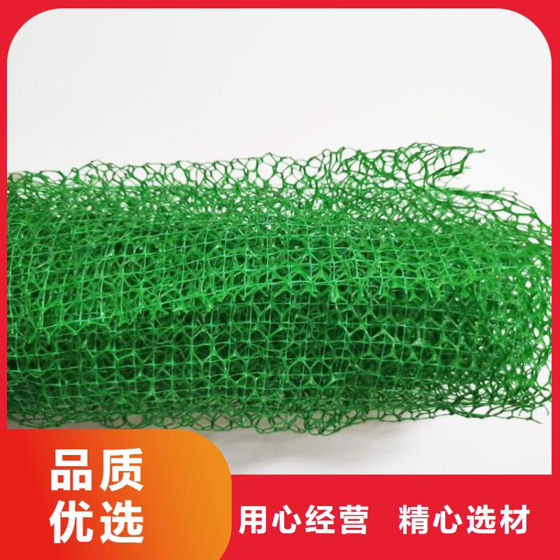 EM5三維護坡植草網墊-三維網植草護坡