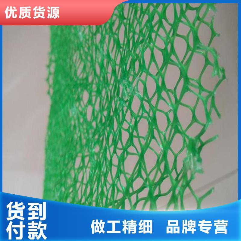 護坡EM2三維植被網