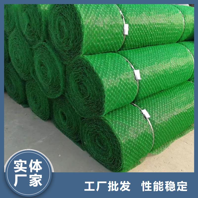 三维植被网-拉筋带价格低