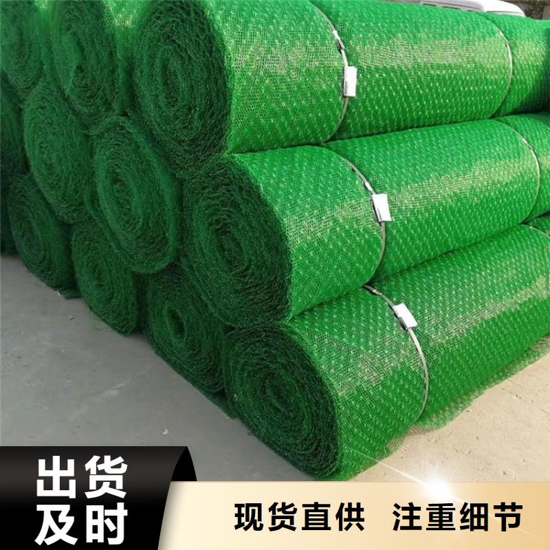 三維植被網(wǎng)-EM3三維土工網(wǎng)墊