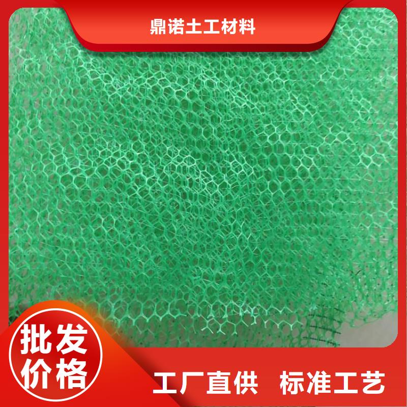EM5三維加筋網墊-EM4三維植被網