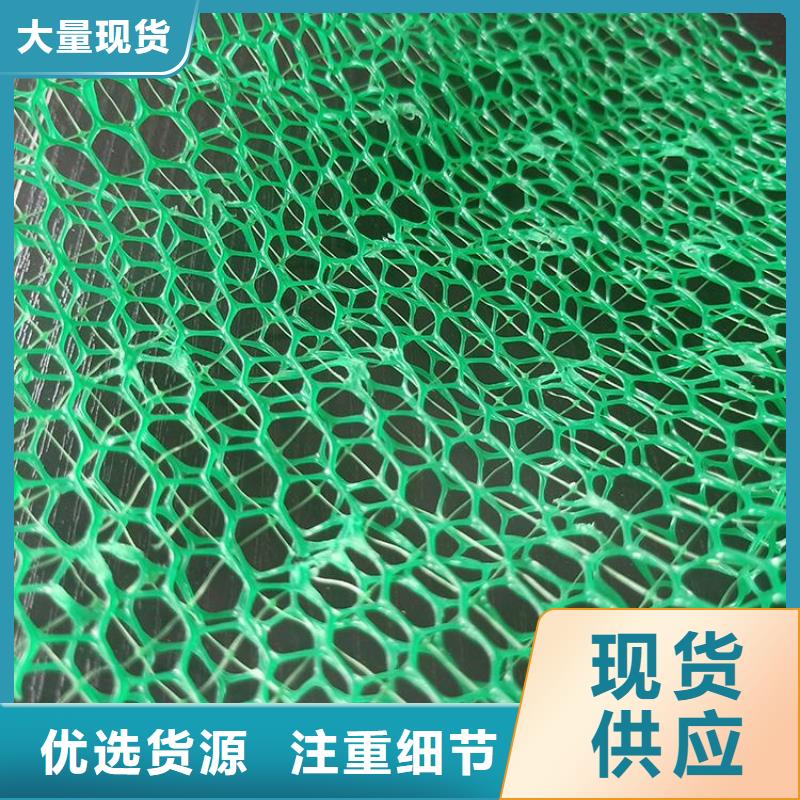 【三維植被網硬式透水管源頭廠家經驗豐富】