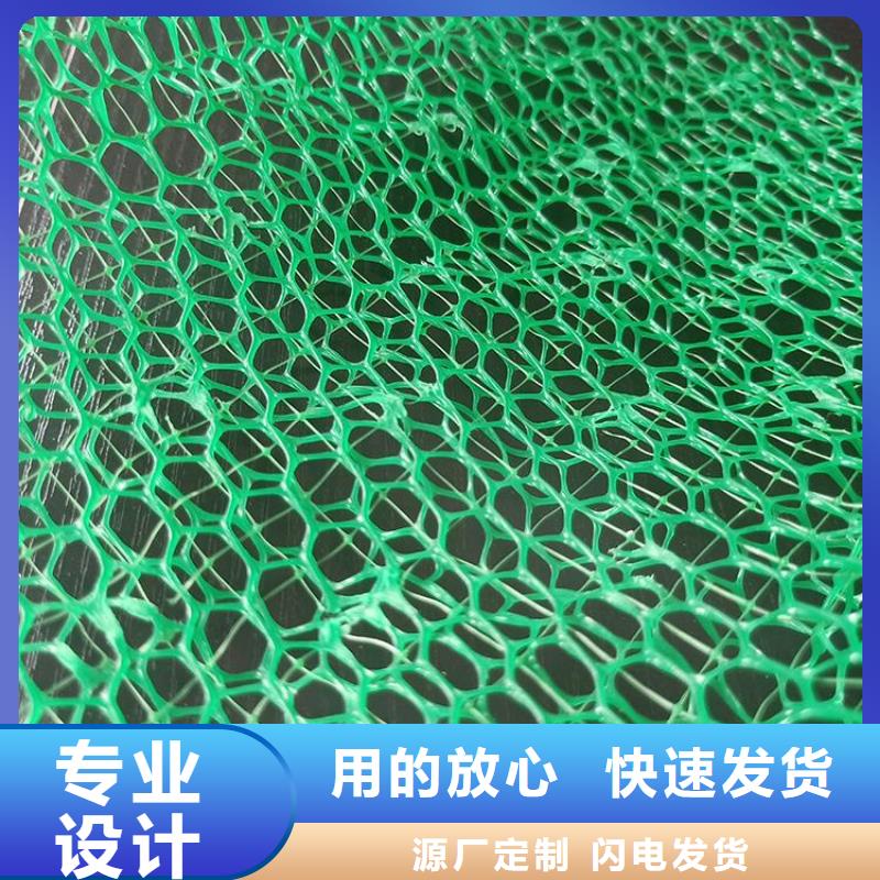 塑料固土三維植被網