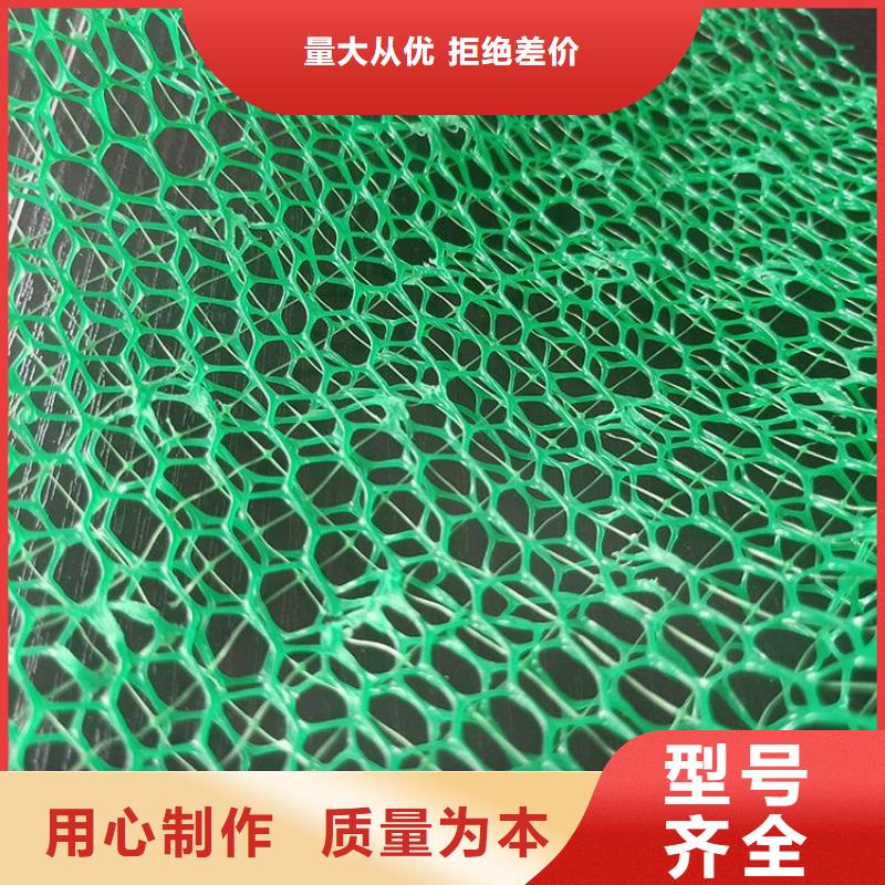 護坡草皮三維固土網墊