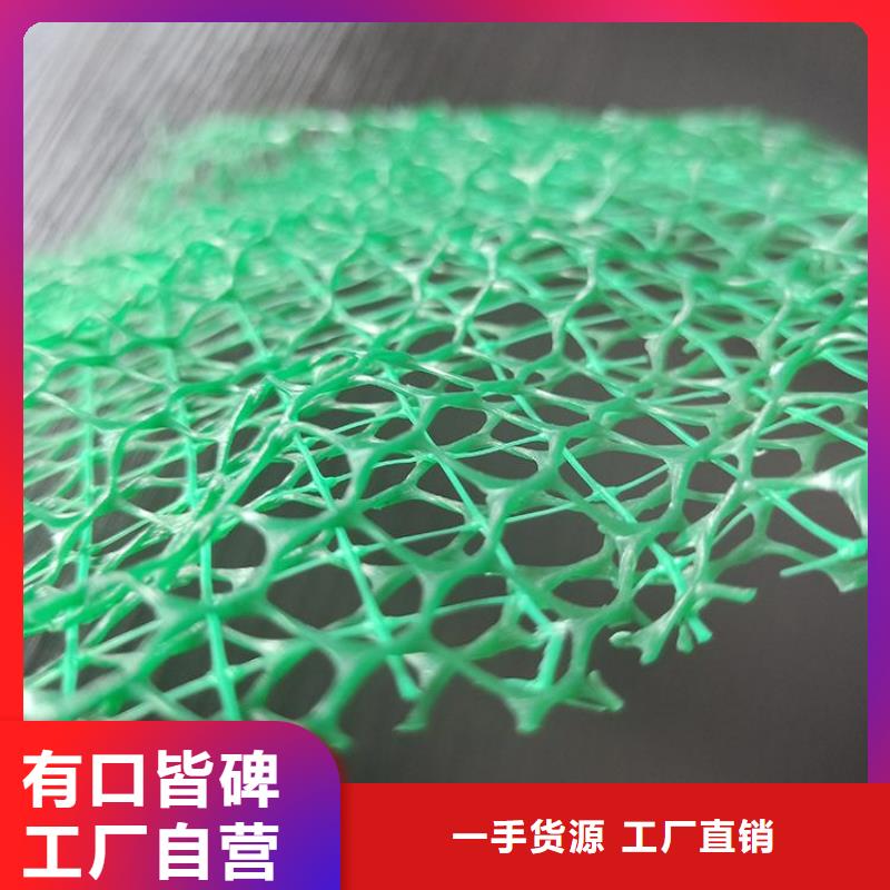 護坡草皮三維固土網墊