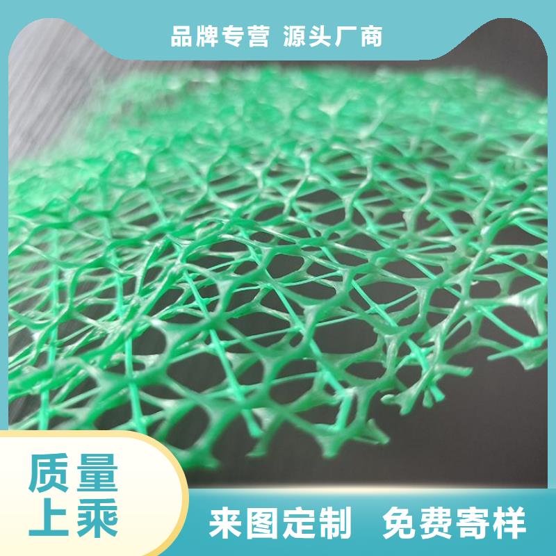 三維植被網塑料土工格柵現貨充裕