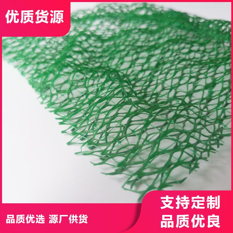 三維土工網(wǎng)墊-EM3三維固土網(wǎng)墊