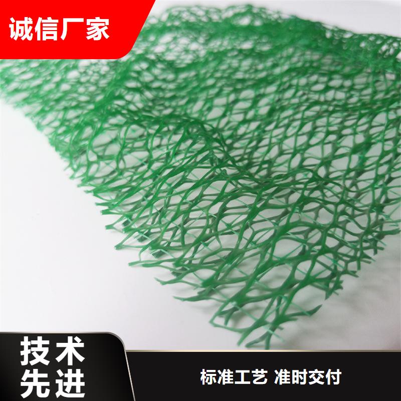 三維土工網墊-EM3三維植被網