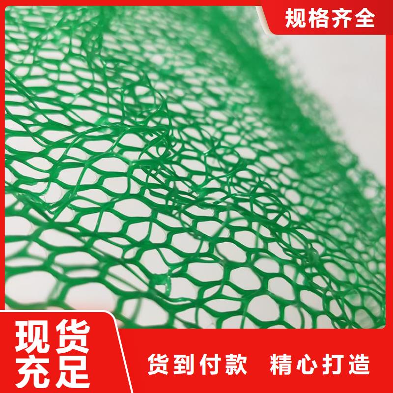 三維植草網墊綠化邊坡