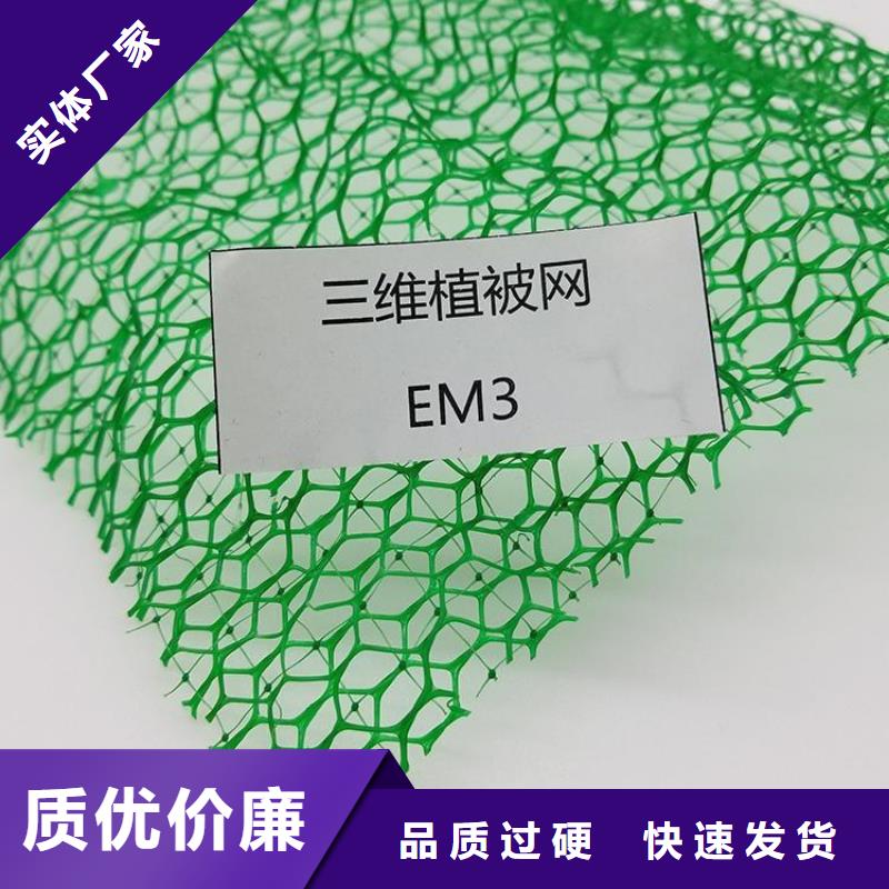 EM2三維植被網(wǎng)支持定制