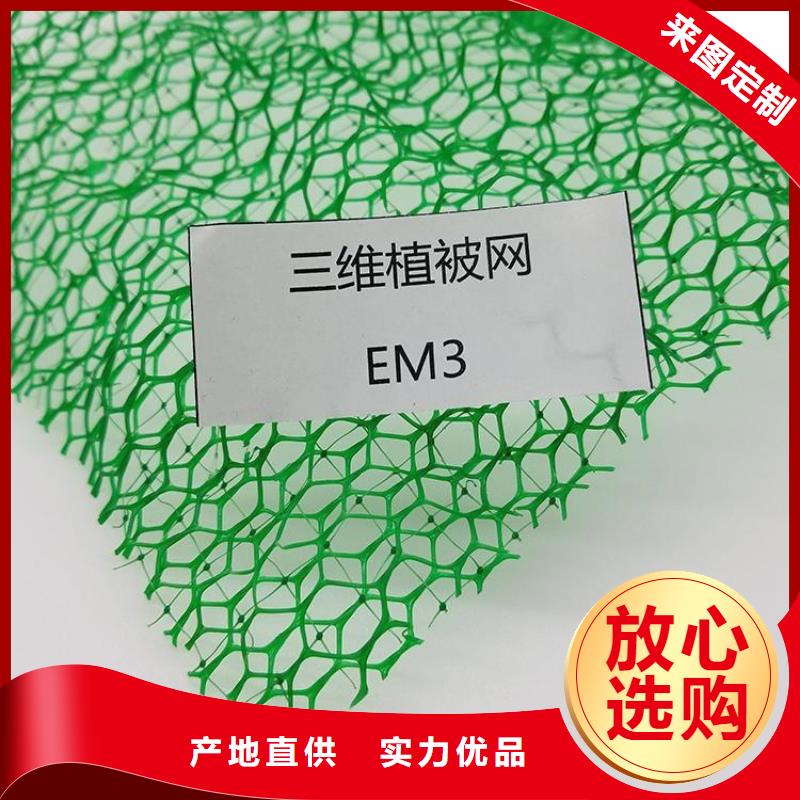 三維土工網(wǎng)墊-三維護(hù)坡植草網(wǎng)墊