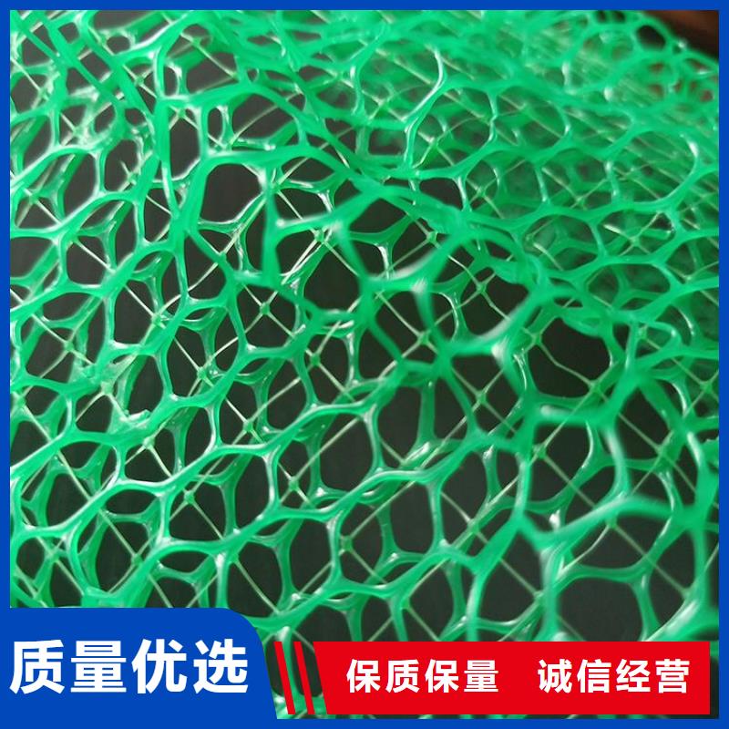 三維植被網(wǎng)大廠生產(chǎn)品質(zhì)