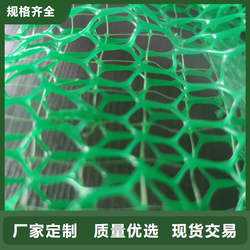 三維固土網(wǎng)墊邊坡EM5