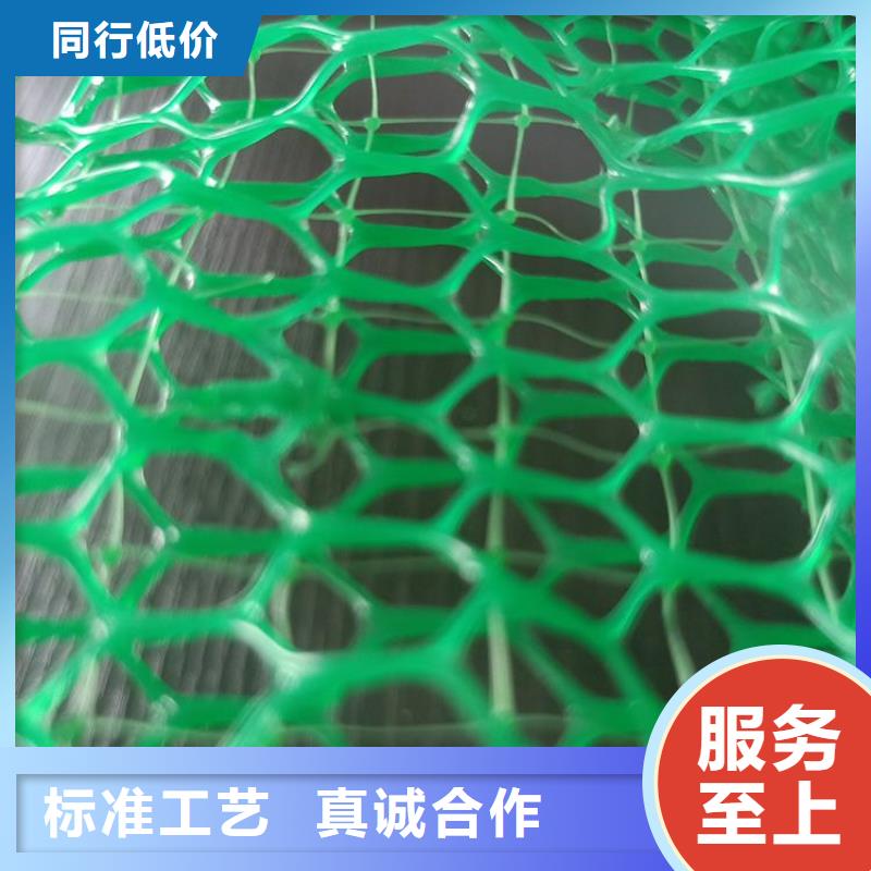 EM4三維固土網墊施工資訊