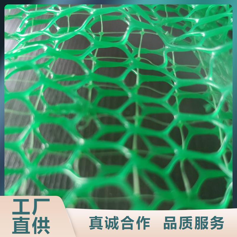 三维固土网垫三维加筋网垫