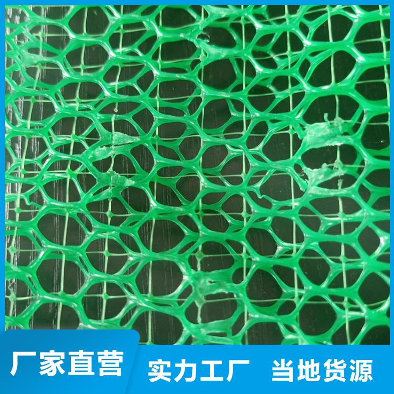 三維固土網(wǎng)墊EM2三維植被網(wǎng)