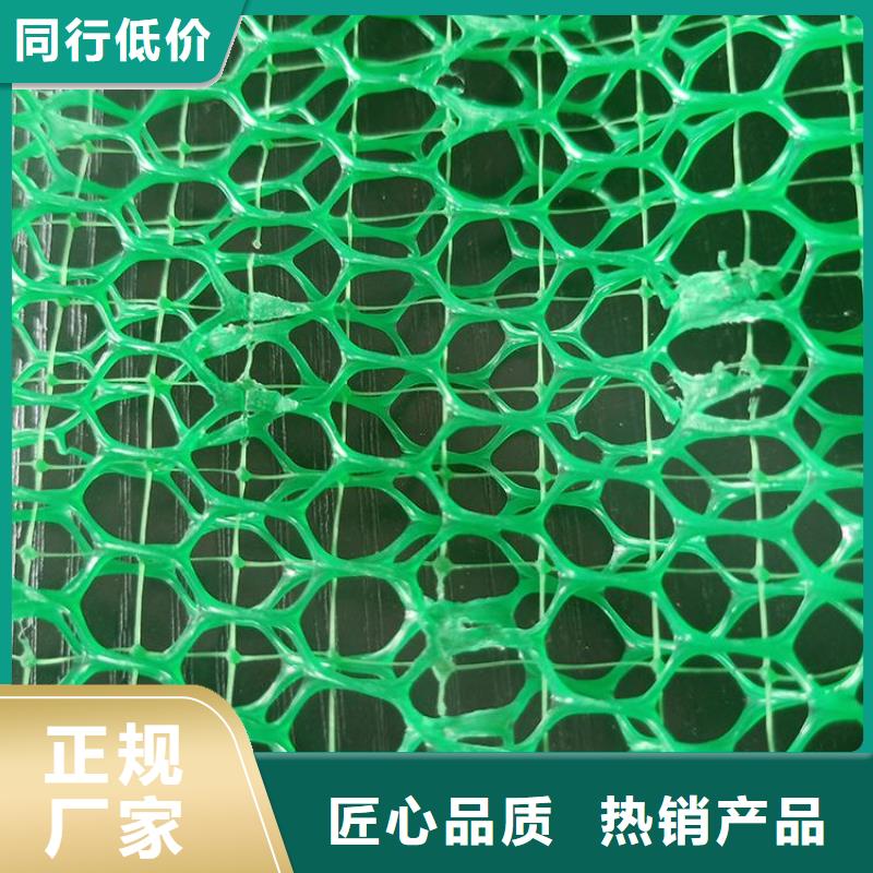 三維植被網(wǎng)土工膜質(zhì)量不佳盡管來找我
