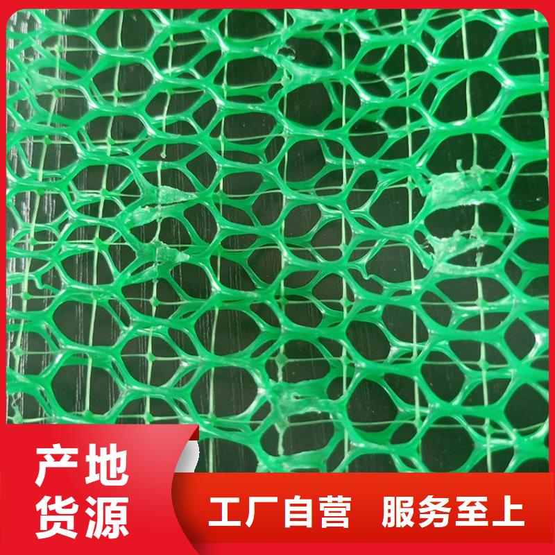 三維土工網(wǎng)墊-三維護(hù)坡植草網(wǎng)墊