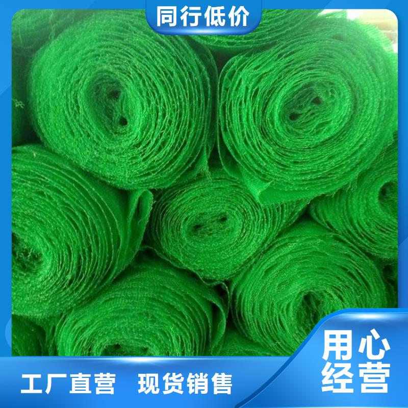 三維植被網土工膜廠家技術完善