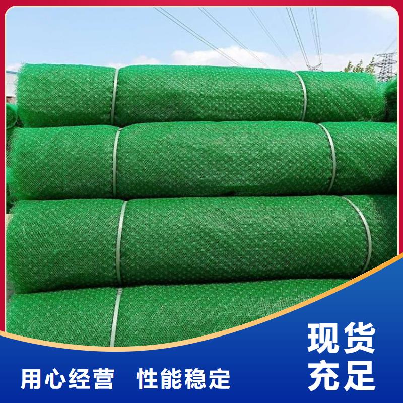 三維植被網塑料土工格柵現貨充裕