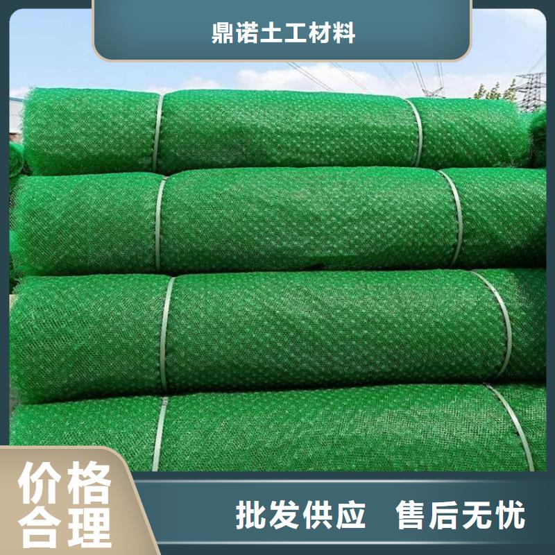 護坡草皮三維固土網墊
