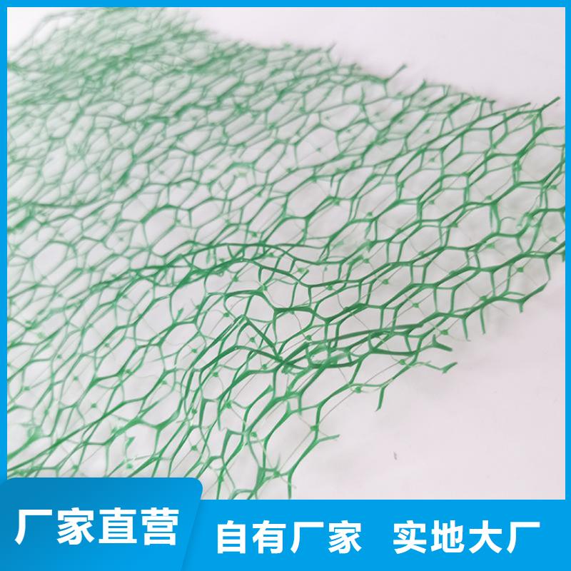 綠化護坡三維土工網墊