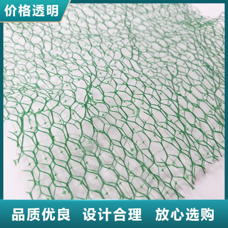 三維植被網(wǎng)塑料土工格柵現(xiàn)貨充裕