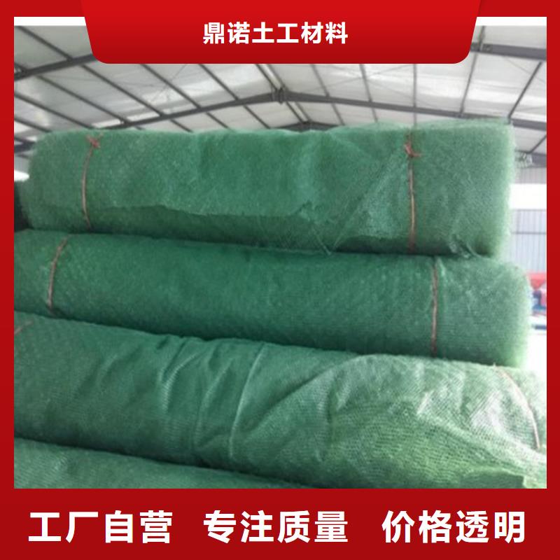 三維植草網墊塑料固土
