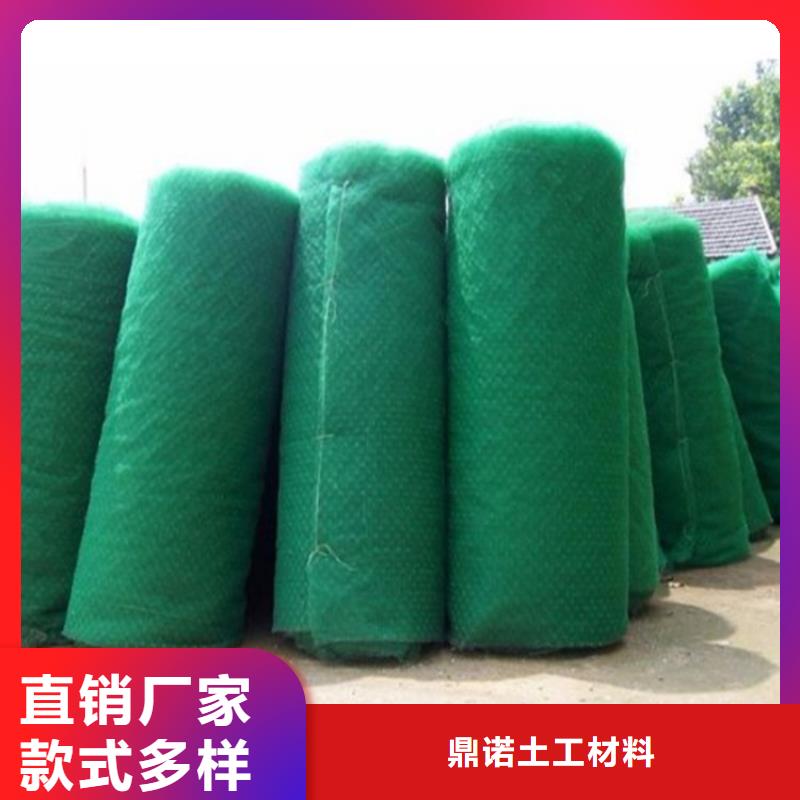 三維植被網土工膜廠家技術完善