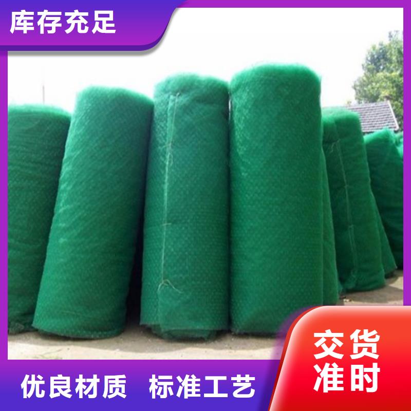 三維植被網(wǎng)-EM3三維土工網(wǎng)墊