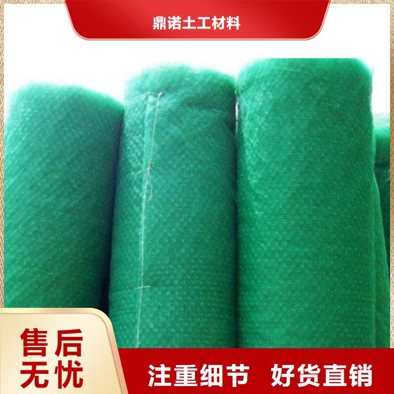 三維土工網墊-EM3三維固土網墊