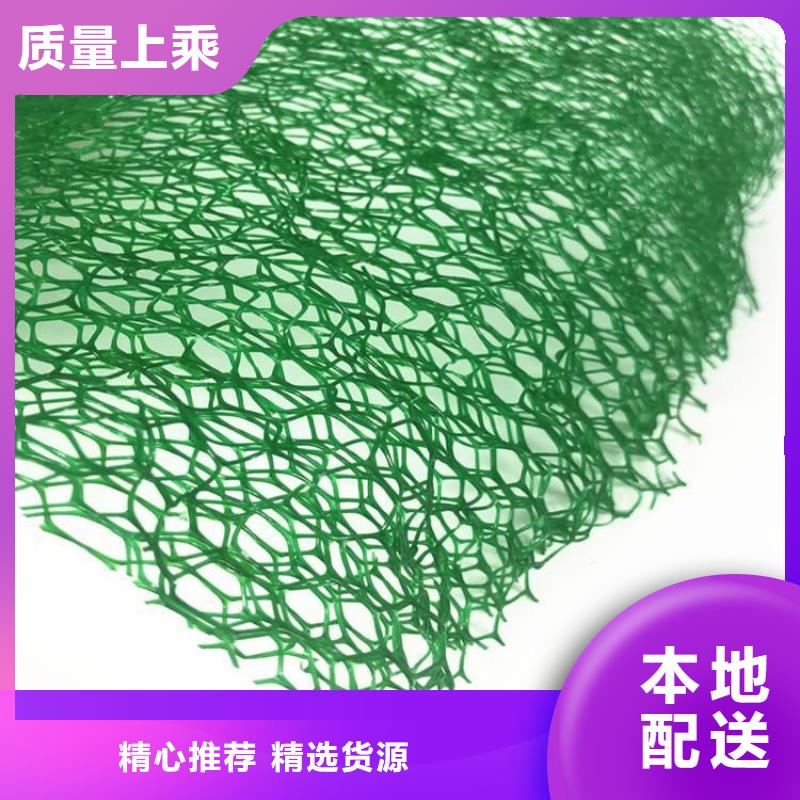 三維固土網(wǎng)墊邊坡EM5