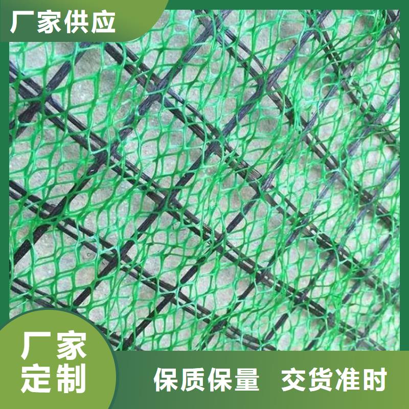 護坡植被植草網綠化護坡
