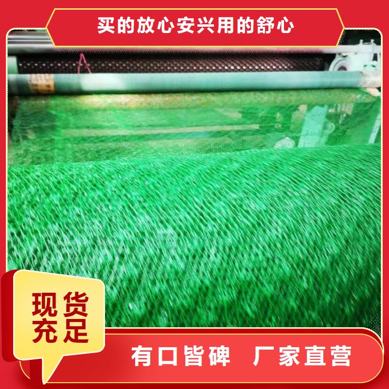護坡EM2三維植被網