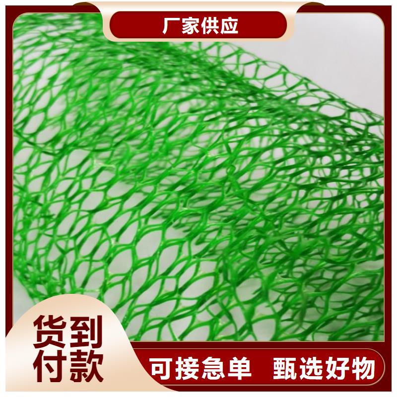 環保塑料三維土工網墊