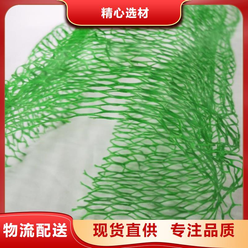 三維植被網(wǎng)塑料土工格柵制造廠家