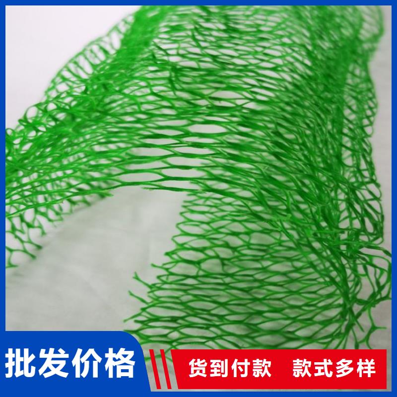 三維植被網_【土工格室】品質信得過