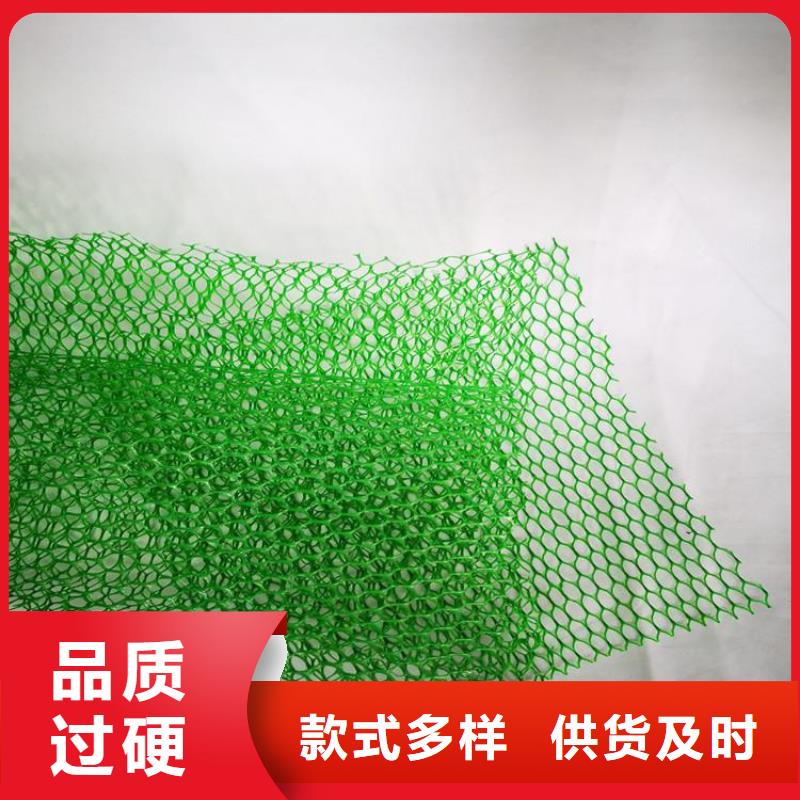 EM5三維加筋網墊-EM4三維植被網