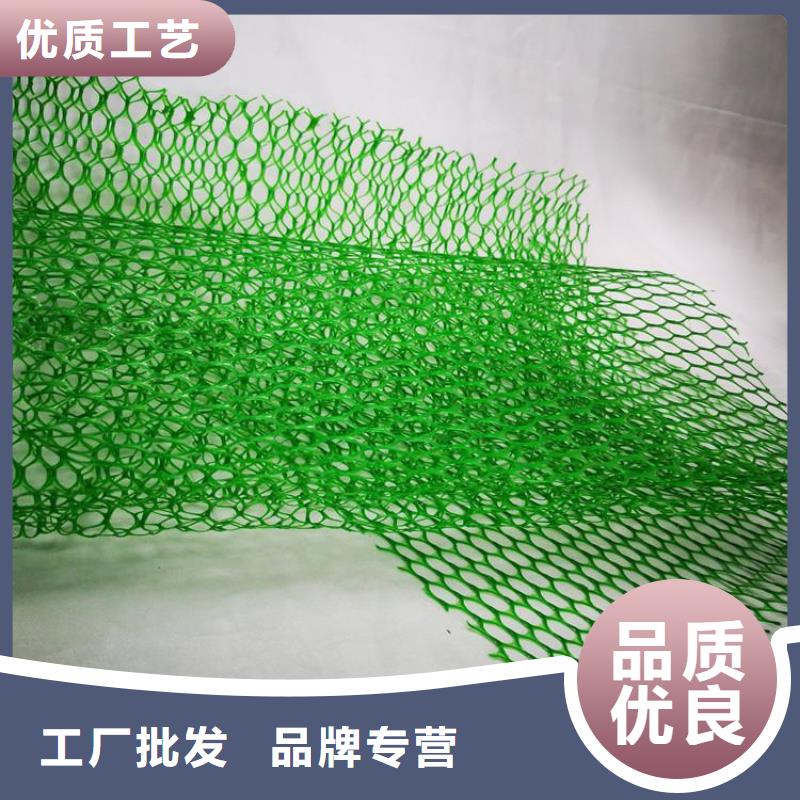 三維固土網墊三維固土網墊