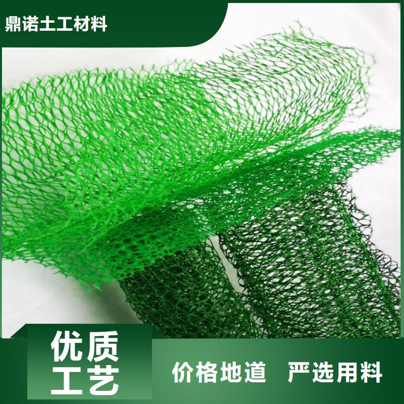 塑料固土三維植被網(wǎng)