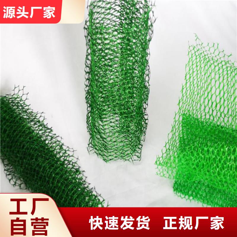三維植草網(wǎng)墊塑料固土