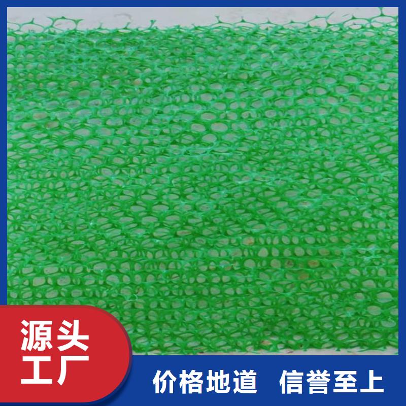 三維植草網墊塑料固土